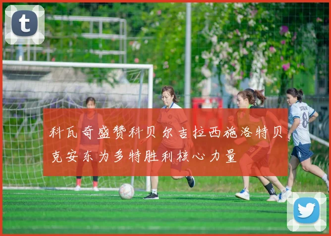科瓦奇盛赞科贝尔吉拉西施洛特贝克安东为多特胜利核心力量